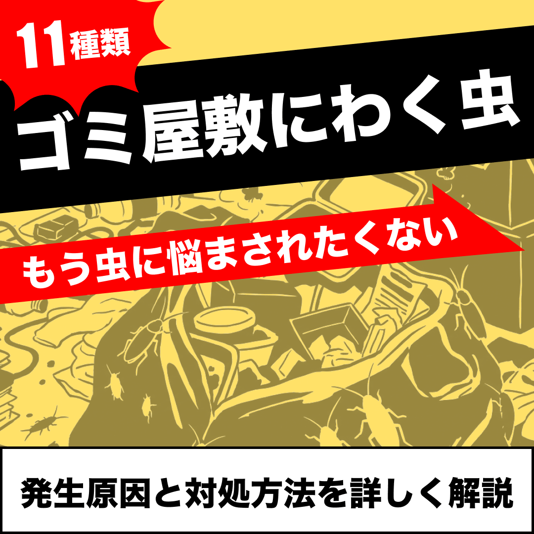 【ゴミ屋敷にわく虫11種類】発生原因と対処方法を詳しく解説